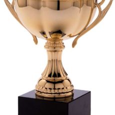 Now Accepting Applications for 2018 Awards
